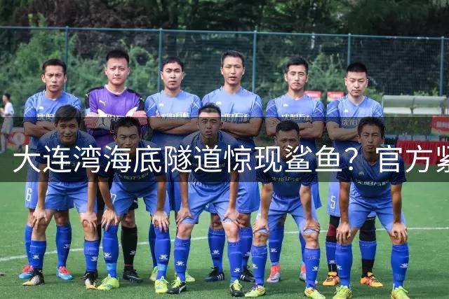 大连湾海底隧道惊现鲨鱼？官方紧急澄清：实为水泥结构无观景窗